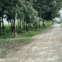 Cần bán đất gấp để trả nợ-anh-5