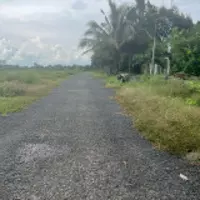 Cần bán đất gấp để trả nợ-anh-6