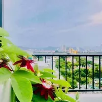 ĐỘC NHẤT VÔ NHỊ - Toà Căn Hộ 9 Tầng - Lô Góc Ngô Quyền - View Cầu Rồng Phun Lửa.-anh-12