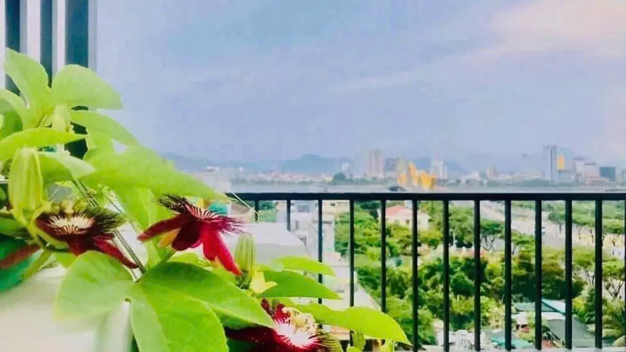ĐỘC NHẤT VÔ NHỊ - Toà Căn Hộ 9 Tầng - Lô Góc Ngô Quyền - View Cầu Rồng Phun Lửa.-anh-6