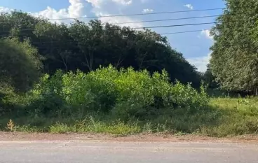 Cần bán đất tại thị trấn Tân Thành 534m2, nở hậu, có 100m thổ cư, giảm giá hơn 300 triệu-anh-1