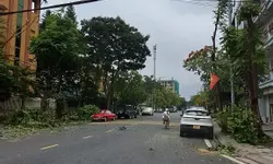 Lô góc 129,5m2 khu đất đấu giá X2 Làng Vàng, Cổ Bi. Mặt tiền siêu rộng, view siêu thoáng.-anh-7