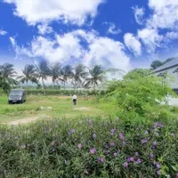 Bạn đang lăn tăn suy nghĩ đầu tư ở đâu sinh lời tốt thì bạn đã gặp đúng bài viết giúp bạn rồi đấy-anh-3