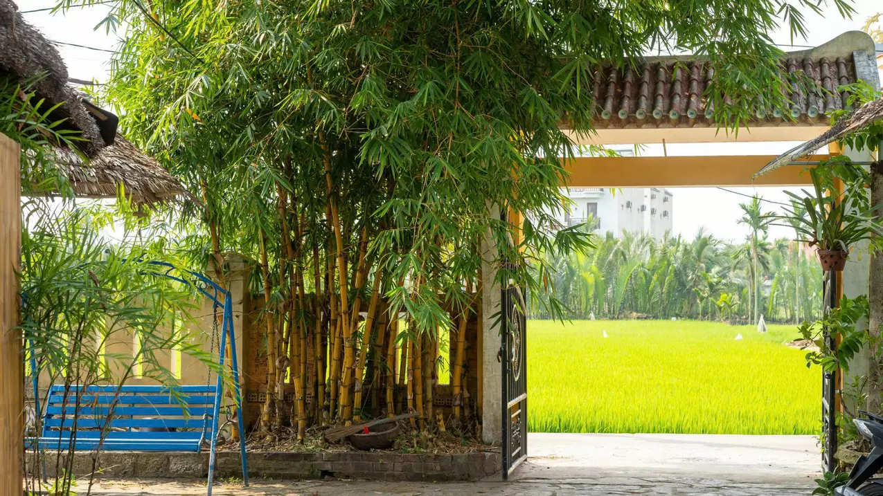 GẤP: SẴN SỔ ĐỎ- FULL THỔ CƯ NGÔI NHÀ 414m2 ĐẬM CHẤT HỘI AN-anh-2