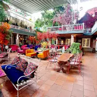 GIA CHỦ XUẤT CẢNH CẦN BÁN NHANH QUÁN CAFE SÂN VƯỜN VỊ TRÍ VÀNG NGUYỄN ẢNH THỦ TRUNG HÓC MÔN.-anh-10