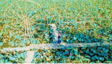 CỰC HOT - Độc quyền lô view KDL sinh thái Hồ Sen cực đẹp sát Hoà Tiến-anh-3