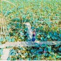 CỰC HOT - Độc quyền lô view KDL sinh thái Hồ Sen cực đẹp sát Hoà Tiến-anh-6