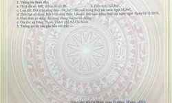 Nhà rộng ô tô đỗ cửa, gần mặt tiền Nguyễn Phúc Chu, 5.1 tỷ-anh-14