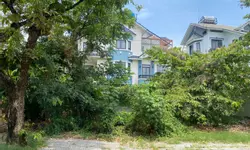 Giá SỐC cho thuê MT Lạc Long Quân Phường 8, Q.Tân Bình-anh-14