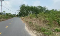 Bán gấp nền An Tây ngay mặt tiền khuôn viên chợ Bến Cát-anh-12