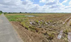 Bán Đất Thổ Cư Cách Bệnh Viện Đa Khoa Châu Thành Tiền Giang 700m -Gía Thương Lượng-anh-6