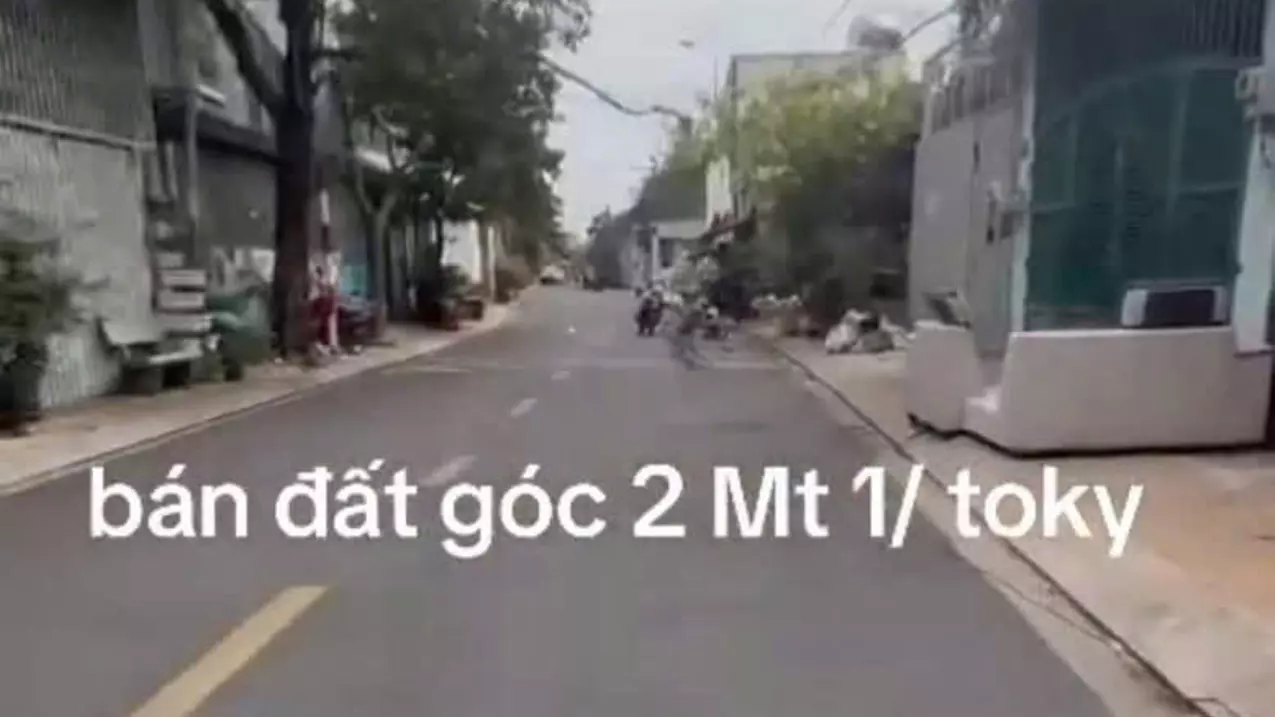 GÓC 2 MẶT TIỀN TÂN XUÂN – 8x22M – CÓ SẴN DÒNG TIỀN – CHỈ 8.7 TỶ-anh-2