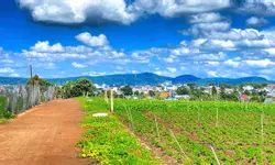 GIÁ SIÊU RẺ, BÁN GẤP CĂN BIỆT THỰ NGHỈ DƯỠNG MẶT TIỀN ĐƯỜNG XÔ VIẾT NGHỆ TĨNH, PHƯỜNG 7, TP ĐÀ LẠT-anh-5