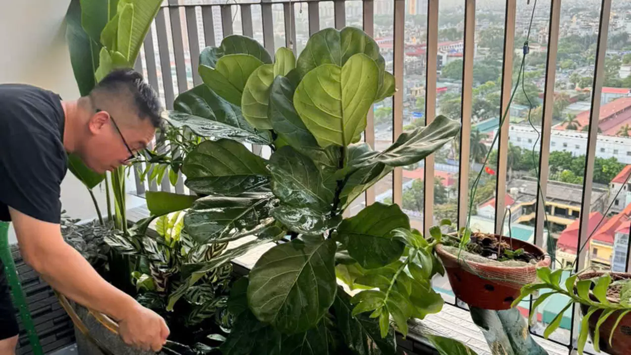HÀNG HIẾM – CHÍNH CHỦ BÁN CĂN GÓC HOA HẬU ATHENA PHÁP VÂN-anh-4