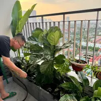 HÀNG HIẾM – CHÍNH CHỦ BÁN CĂN GÓC HOA HẬU ATHENA PHÁP VÂN-anh-9
