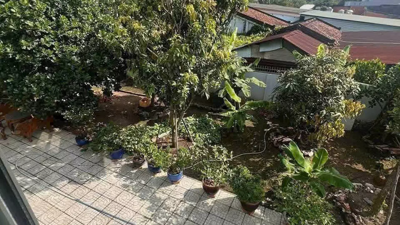 HÀNG HIẾM HÓC MÔN – NHÀ VƯỜN 400M² MT TÂN THỚI NHÌ, SẴN 2 CĂN NHÀ KIÊN CỐ!-anh-5