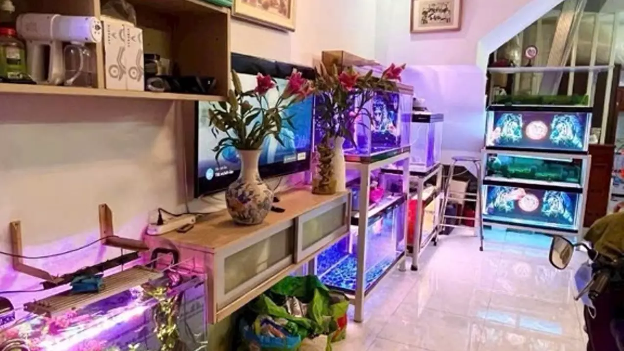 Hẻm Ôtô, Vew City,  Nhà 4 Tầng, Gần Nguyễn Thị Thập Q7, 56M2, Chỉ 6.8Tỷ.-anh-2