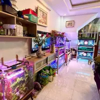 Hẻm Ôtô, Vew City,  Nhà 4 Tầng, Gần Nguyễn Thị Thập Q7, 56M2, Chỉ 6.8Tỷ.-anh-5
