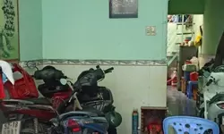 Nhà 3 tầng đường ô tô tránh, đầu Tân Hương + Tân Sơn Nhì, 6.1 tỷ-anh-8