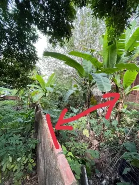 BÁN ĐẤT GIANG BIÊN, LONG BIÊN, 136M, MT 7M, ĐƯỜNG Ô TÔ, 7 TỶ 5-anh-3