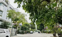 HIẾM-Cho thuê nhà Mặt Tiền Độc Lập 76m2-GẦN NGÃ TƯ-TRƯỜNG HỌC-anh-11
