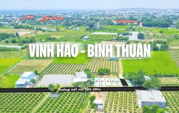 Hót hiện tại giỏ hàng chỉ còn duy nhất 3 lô ngay ven Biển Liên Hương giá chỉ 800tr/nền full thổ 100%.-anh-1