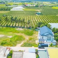 Nắm ngay thời cơ vàng - Đầu tư đón sóng đất biển Bình Thuận chỉ từ 700tr/nền-anh-8