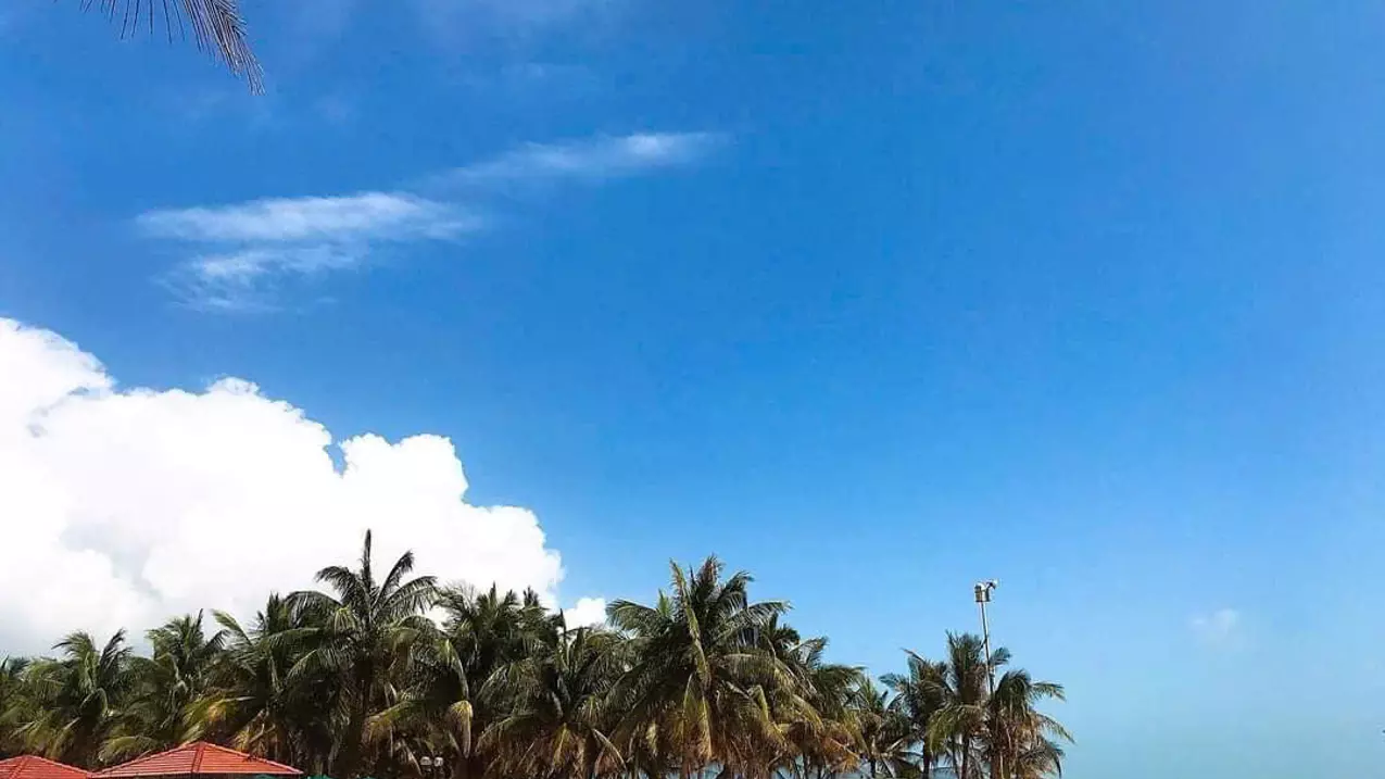 Khu phố Tây an thượng, phố ẩm thực. Ngay ngã tư Châu Thị Vĩnh Tế và Đỗ Bá, Đà Nẵng-anh-3