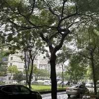 Bán nhà lô góc, kinh doanh, KĐT Việt Hưng, 78m T1, 2 thoáng, ô tô dừng đỗ, 5 tỷ 5-anh-8