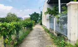 Đất Vàng thổ cư ven biển đón đầu cao tốc Bình Thuận.-anh-1