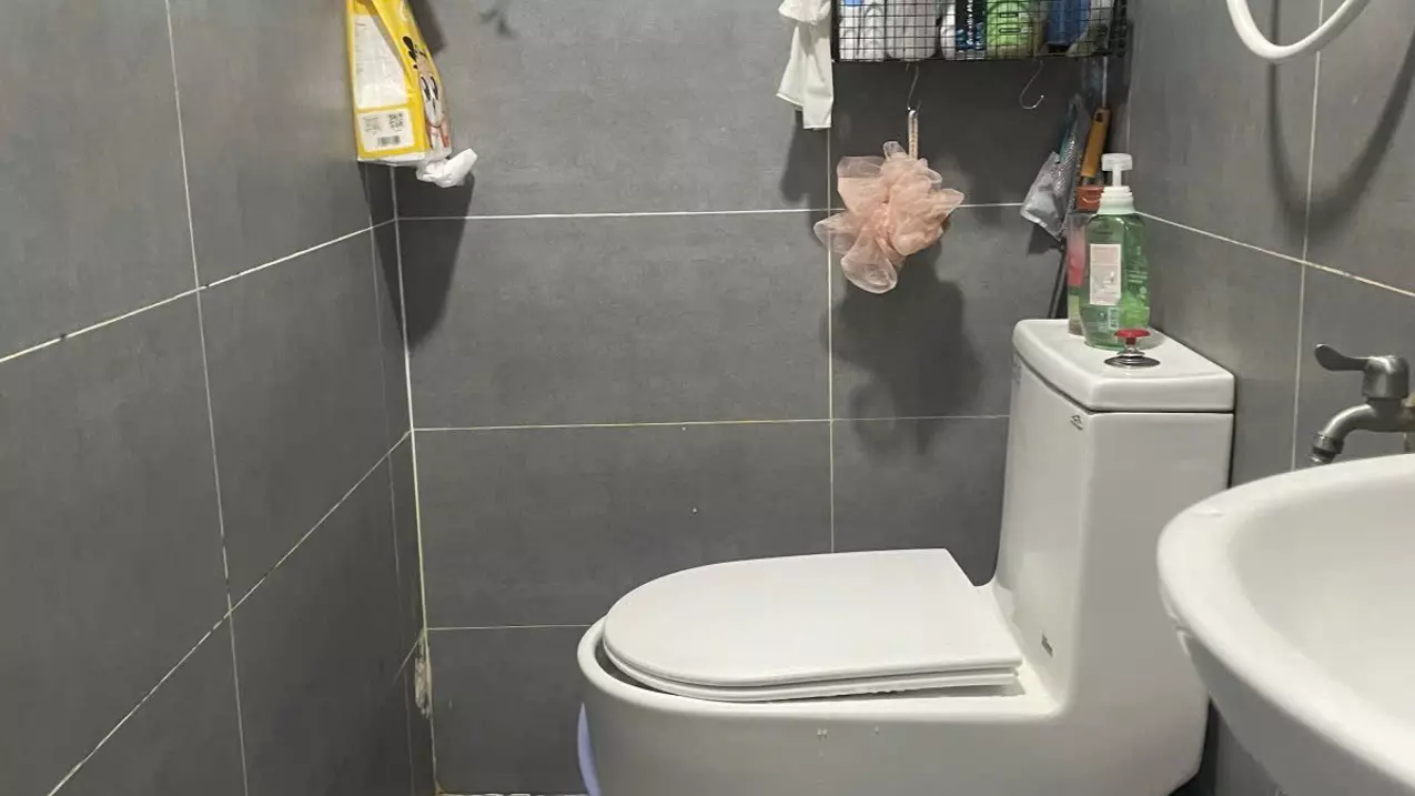 LẠC LONG QUÂN Q11 HXH 22M2 - 3 TẦNG BTCT 2PN 2WC CHỈ 4.15 TỶ-anh-7
