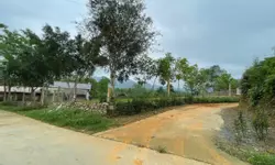 Bán 2 lô shoptel vị trí vip dự án KĐT Golden Field, Nghĩa Lộ giá cực tốt-anh-2