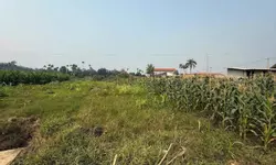 Bán 2 lô shoptel vị trí vip dự án KĐT Golden Field, Nghĩa Lộ giá cực tốt-anh-3