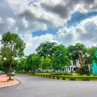 CC Bán nhanh siêu biệt thự KĐT Đặng Xá -3 mặt tiền 336m2 View cực thoáng. 0982852808-anh-6