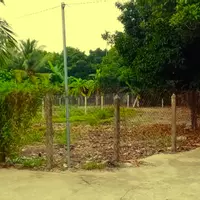 Mặt tiền An Sơn 32, 500m² thổ cư 100m².
Đường xe tải ra vào, vị trí đông dân cư,-anh-9