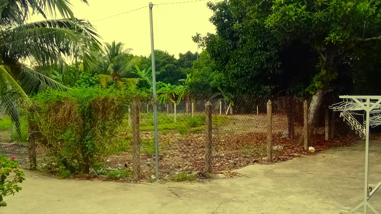 Mặt tiền An Sơn 32, 500m² thổ cư 100m².
Đường xe tải ra vào, vị trí đông dân cư,-anh-5