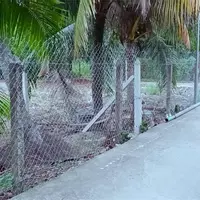 Mặt tiền An Sơn 32, 500m² thổ cư 100m².
Đường xe tải ra vào, vị trí đông dân cư,-anh-7