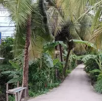 Mặt tiền An Sơn 32, 500m² thổ cư 100m².
Đường xe tải ra vào, vị trí đông dân cư,-anh-8