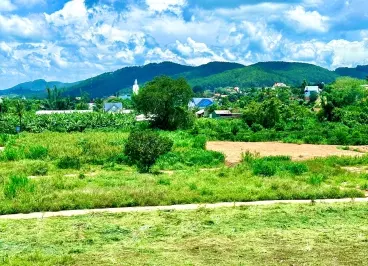 ĐẤT FULL THỔ CƯ - CHÚ MÌNH CẦN BÁN GẤP LẤY VỐN KINH DOANH-anh-2
