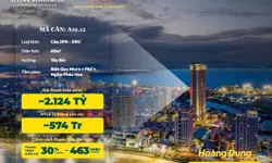 Bán căn hộ vina2 Thành Phố Quy Nhơn giá chủ đầu tư với số ít quỹ căn còn lại.-anh-4