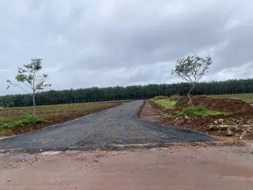 Khám Phá Khu Đất Nền Độc Đáo Tại Phú Lộc, Krong Năng - Trái Tim Của Trung Tâm Hành Chính!-anh-3