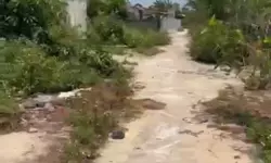 Cực phẩm lô góc mặt tiền đường nhựa 24m view công viên thành phố/SHR-anh-9