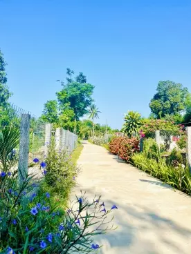 Chỉ từ 150Tr có ngay đất cực đẹp ngay cum công nghiệp giáp Ái Nghĩa-anh-2