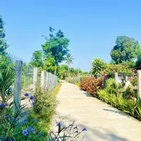 Chỉ từ 150Tr có ngay đất cực đẹp ngay cum công nghiệp giáp Ái Nghĩa-anh-5