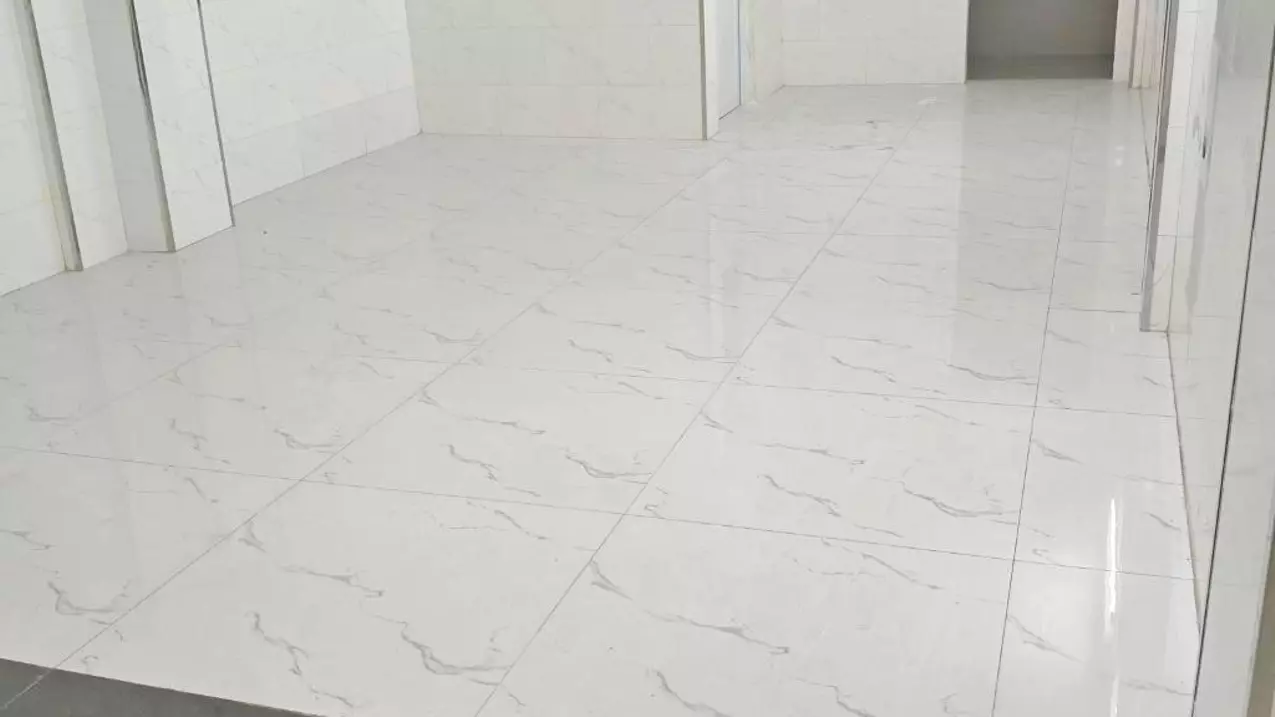 Mặt tiền Tạ Quang Bửu 4x20 đúc 5 tầng 293m2 chỉ 19 tỷ-anh-2