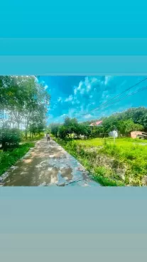Cần tiền bán gấp miếng đất thổ cư 125m2 giá 175 triệu sổ riêng-anh-2