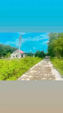 Cần tiền bán gấp miếng đất thổ cư 125m2 giá 175 triệu sổ riêng-anh-3