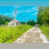 Cần tiền bán gấp miếng đất thổ cư 125m2 giá 175 triệu sổ riêng-anh-6