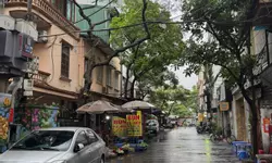 Mình cho thuê nhà, 99m2- 7T, Linh Lang, Đào Tấn, Phan Kế Bính -45 tr-anh-10