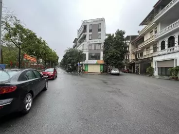 BÁN ĐẤT PHÂN LÔ LÂM HẠ, LONG BIÊN, 80M, MT 5M, Ô TÔ TRÁNH, 9 TỶ HƠN-anh-3